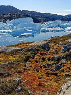 Kelp Prints: Landscape at the Sermilik (Sermiligaaq) Icefjord in East Greenland