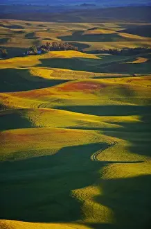 Rolling Landscape Prints: A landscape view from Steptoe Mt Washington State Palouse