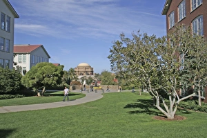 Lawn Prints: Landscaped park at Letterman Digital Arts Center, Presidio, San Francisco California