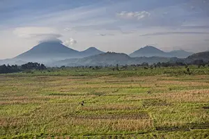 Images Dated 6th February 2009: Landscapes around Kisoro, Kigezi. This area is densly populated and intensivly farmed