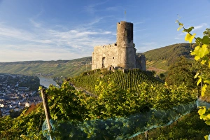 Mosel River Prints: Landshut castle above Mosel River, Bernkastel-Kues, Rhineland-Palatinate, Germany