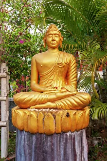 Tom Haseltine Prints: Laos, Luang Prabang. Golden Buddha statue with elongated earlobes