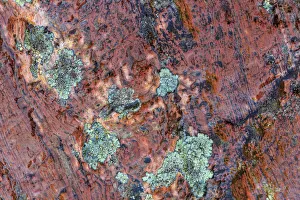 Images Dated 7th June 2013: Large naturally polished rock with lichen, Lower Deschutes River, Central Oregon, USA