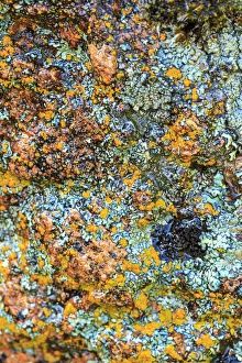 Images Dated 7th June 2013: Large naturally polished rock with lichen, Lower Deschutes River, Central Oregon, USA