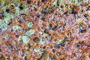 Images Dated 7th June 2013: Large, naturally polished rock with lichen. Lower Deschutes River, Central Oregon, USA