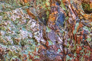 Images Dated 7th June 2013: Large, naturally polished rock with lichen. Lower Deschutes River, Central Oregon, USA