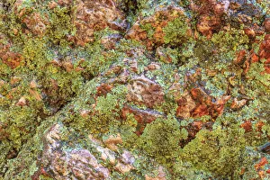 Images Dated 7th June 2013: Large, naturally polished rock with lichen. Lower Deschutes River, Central Oregon, USA