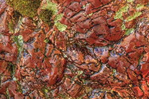 Images Dated 7th June 2013: Large, naturally polished rock with lichen. Lower Deschutes River, Central Oregon, USA