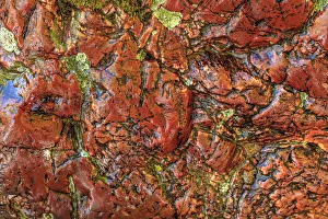 Images Dated 7th June 2013: Large, naturally polished rock with lichen. Lower Deschutes River, Central Oregon, USA