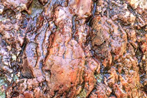 Images Dated 7th June 2013: Large, naturally polished rock with lichen. Lower Deschutes River, Central Oregon, USA