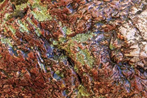 Images Dated 7th June 2013: Large naturally polished rock with lichen, Lower Deschutes River, Central Oregon, USA