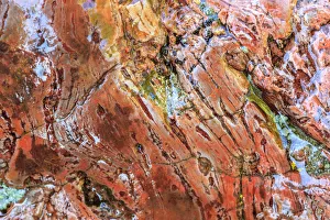 Images Dated 7th June 2013: Large naturally polished rock with lichen, Lower Deschutes River, Central Oregon, USA