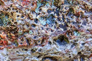 Images Dated 7th June 2013: Large naturally polished rock with lichen, Lower Deschutes River, Central Oregon, USA