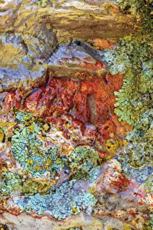 Images Dated 7th June 2013: Large naturally polished rock with lichen, Lower Deschutes River, Central Oregon, USA