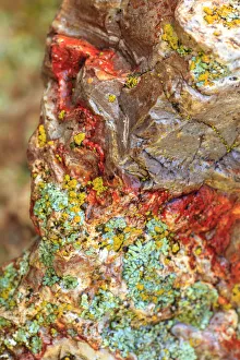 Images Dated 7th June 2013: Large naturally polished rock with lichen, Lower Deschutes River, Central Oregon, USA
