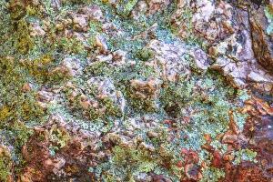 Images Dated 7th June 2013: Large naturally polished rock with lichen, Lower Deschutes River, Central Oregon, USA