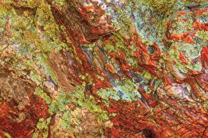 Images Dated 7th June 2013: Large naturally polished rock with lichen, Lower Deschutes River, Central Oregon, USA