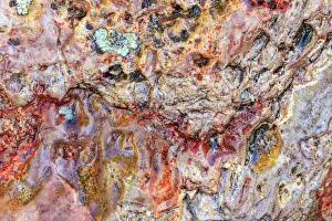 Images Dated 7th June 2013: Large, naturally polished rock with lichen. Lower Deschutes River, Central Oregon, USA