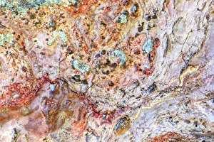 Images Dated 7th June 2013: Large, naturally polished rock with lichen. Lower Deschutes River, Central Oregon, USA