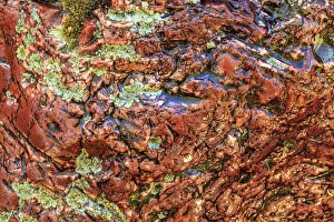 Images Dated 7th June 2013: Large naturally polished rock with lichen, Lower Deschutes River, Central Oregon, USA