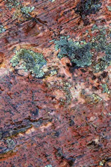 Images Dated 7th June 2013: Large, naturally polished rock with lichen. Lower Deschutes River, Central Oregon, USA