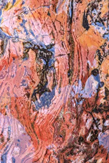 Images Dated 7th June 2013: Large, naturally polished rock with lichen. Lower Deschutes River, Central Oregon, USA