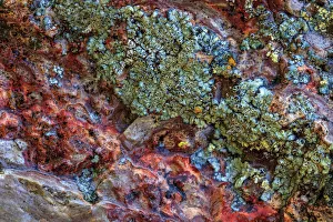 Images Dated 7th June 2013: Large, naturally polished rock with lichen. Lower Deschutes River, Central Oregon, USA