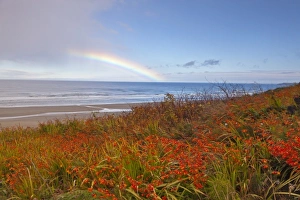 Newport Prints: Large rainbow over the Pacific Ocean at Newport, Oregon, USA