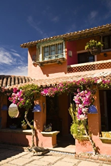Images Dated 7th February 2008: Las Moras Ranch, near Copala Town, near Mazatlan, Sinaloa State, Mexico