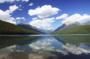 Images Dated 15th July 2010: Late Afternoon on Bowman Lake: Glacier National Park, Montana, USA
