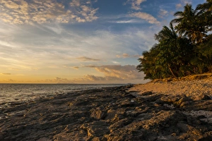 Scenics Prints: Late afternoon light on a beach on Beachcomber island, Mamanucas islands, Fiji, South