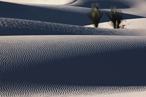 Images Dated 18th November 2006: Late afternoon light on sand dunes, White Sands National Monument, New Mexico