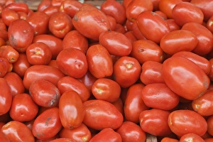 Images Dated 11th June 2010: Latin America, Guatemala, Western Highlands, Santiago de Atitlan, Tomatoes For Sale