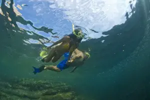 Snorkel Prints: Latino Couple, Snorkelers, Los Islotes Marine Preserve, Espiritu Santo Island, near La Paz