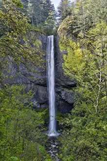 Falls Prints: Latourell Falls Columbia River Gorge National Senic Area, Oregon