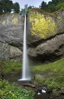 Images Dated 7th July 2007: Latourell Falls, Columbia River Gorge, Oregon, USA