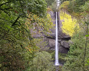 Images Dated 15th October 2014: Latourell Falls. Columbia River Gorge. Oregon. USA