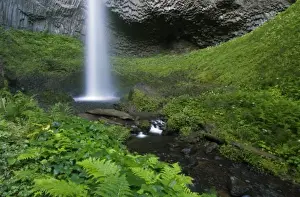 Images Dated 7th July 2007: Latourell Falls, Columbia River Gorge, Oregon, USA