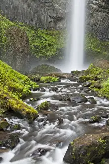 Images Dated 30th March 2015: Latourell Falls and Creek; Columbia Gorge; Oregon; USA