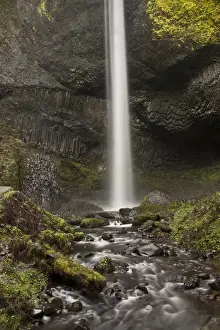 Images Dated 24th November 2014: Latourell Falls; Guy S. Talbot State Park; Columbia Gorge; Oregon; USA