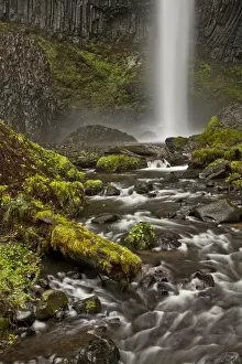 Moss Covered Prints: Latourell Falls; Guy S. Talbot State Park; Columbia Gorge; Oregon; USA