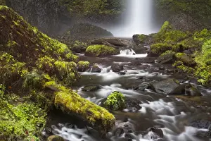 Images Dated 24th November 2014: Latourell Falls; Guy S. Talbot State Park; Oregon; USA