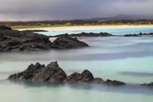 South America Prints: Lava rocks along tranquil shoreline of San Cristobal Island, Galapagos, Ecuador