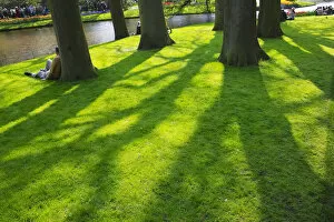 Images Dated 20th June 2007: Lawn in Keukenhof Gardens, Amsterdam, Netherlands
