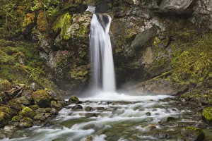 Rushing Prints: Lazy Bear Falls, Mount Baker-Snoqualmie National Forest, North Cascades, Washington State