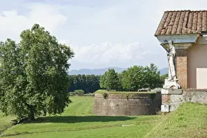 Bishop Prints: Le Mura, The City Walls, Lucca, Tuscany, Italy, Europe