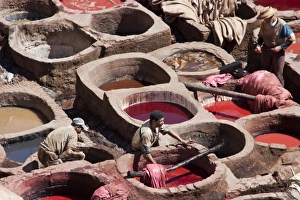 Images Dated 7th April 2009: Leather dyeing vats, Fes medina, Morocco