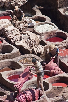 Images Dated 7th April 2009: Leather dyeing vats, Fes medina, Morocco