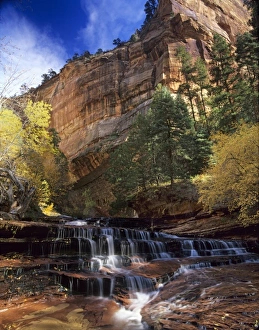 Subway Prints: Left Fork of North Creek. Zion National Park, Utah. trail leading to Subway, medium