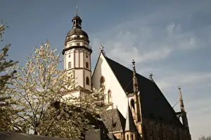 Leipzig Prints: LEIPZIG18793-2012-BARTRUFF. CR2 - Cherry trees abloom and the famed St